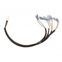 Plug and Play Wiring Harness Adapter - Speed Twin 1200 EUR5 Only