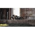 Motone RAZOR - Triumph Bobber Ultra Short Rear Mudguard - Gloss Black
