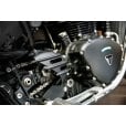 Motone Speedster Sprocket Cover - Ribbed - Black - AC