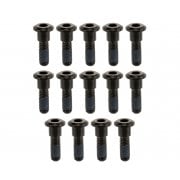 TITAN BOLTS Titanium Brake Rotor Bolts - x14 pcs - BLACK Finish LC - Full Set (Dual Front Disc+Rear Disc)