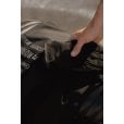 Motone WRAITH - Motorcycle Riding Gloves - Nubuck Leather - Black